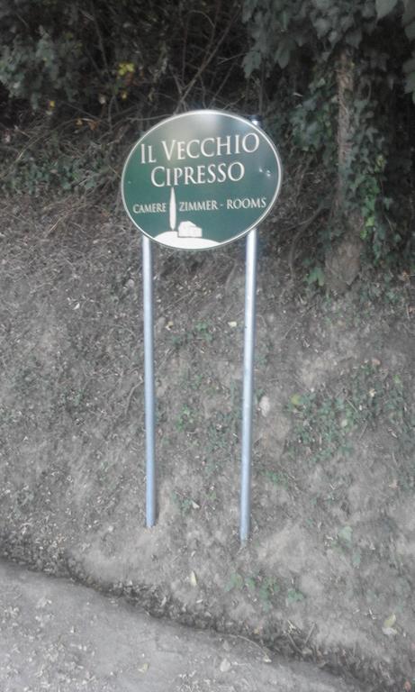 Appartamento Il Vecchio Cipresso San Gimignano Esterno foto