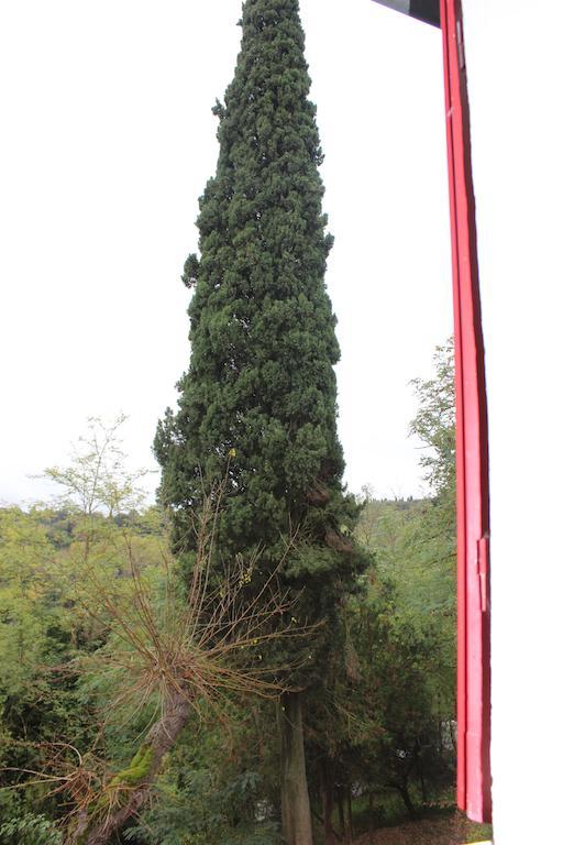 Appartamento Il Vecchio Cipresso San Gimignano Esterno foto